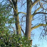 Demeure De La Garenne 4*
