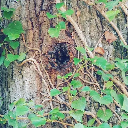 Bed and breakfast Demeure De La Garenne 4*