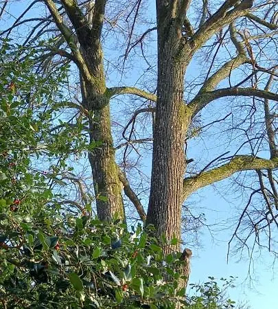 Demeure De La Garenne 4*