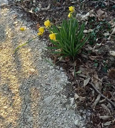 Demeure De La Garenne Bed & Breakfast 4*