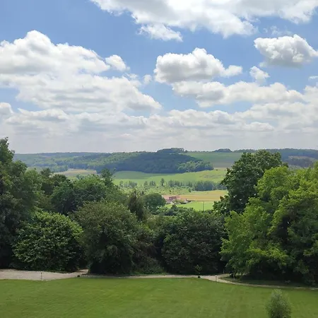 לינה וארוחת בוקר Demeure De La Garenne Montmirail (Marne)