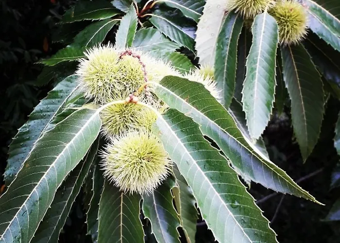Demeure De La Garenne Couette-café