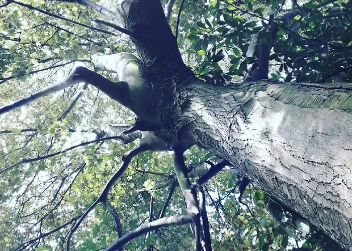 Couette-café Demeure De La Garenne