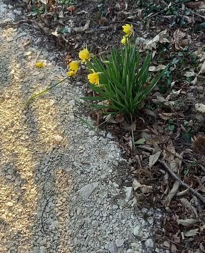 Demeure De La Garenne Couette-café 4*